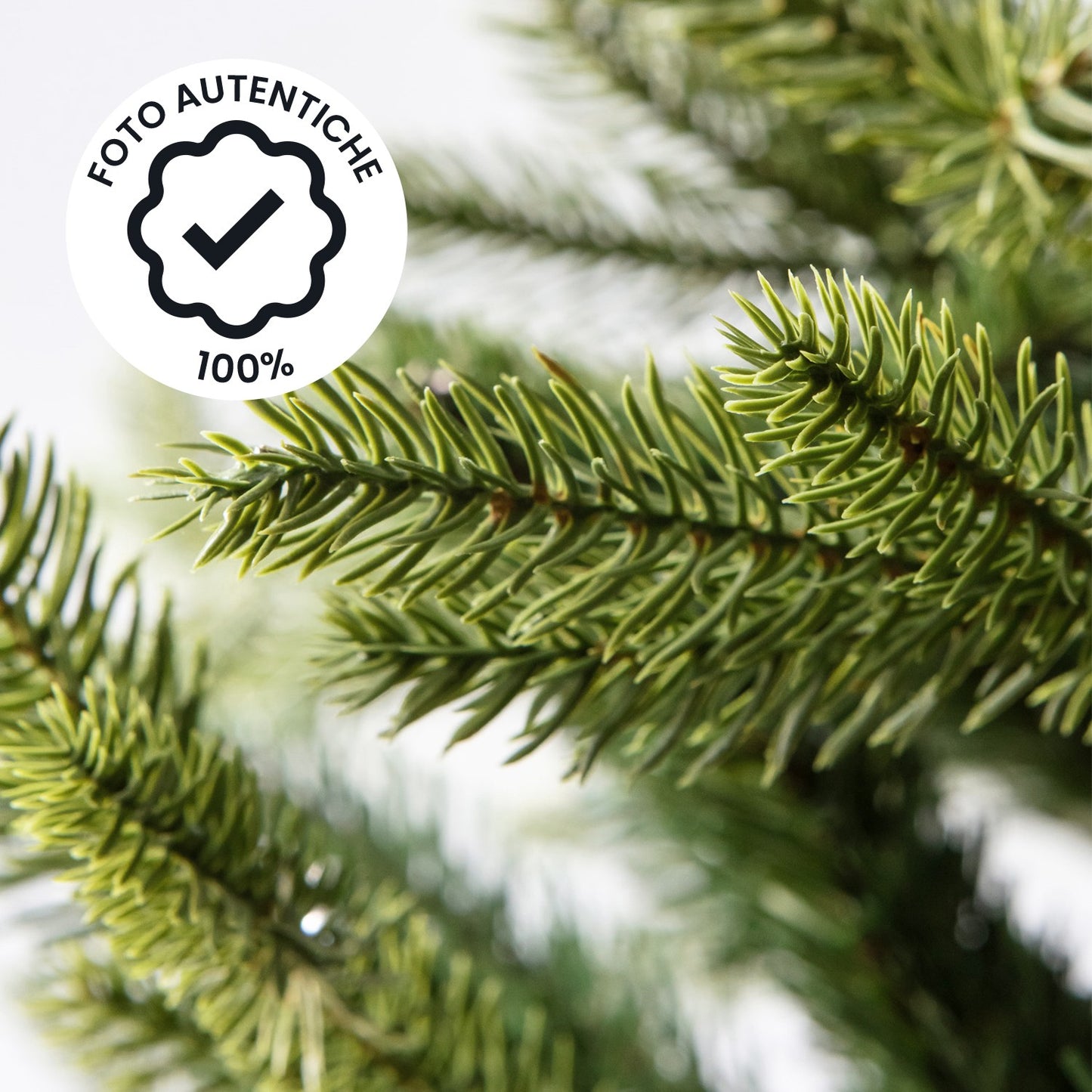 Albero di Natale folto e realistico - PVC, facile montaggio e base stabile