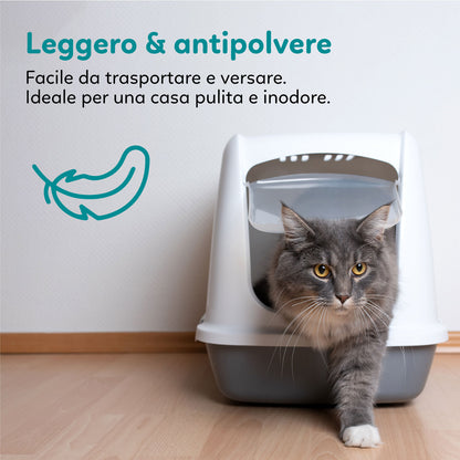 AqpetFriends Catty Pure Lettiera In Silicio per Gatti - profumazione talco - 5 L