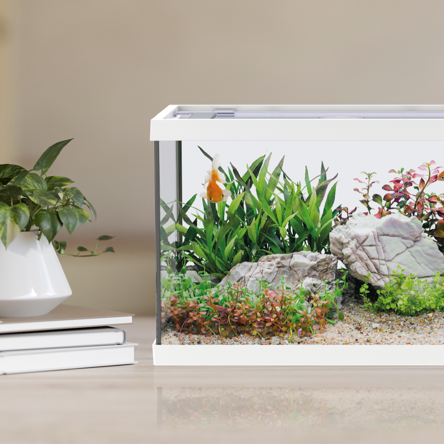 Aqpet One Mini Acquario Completo In Vetro Bianco