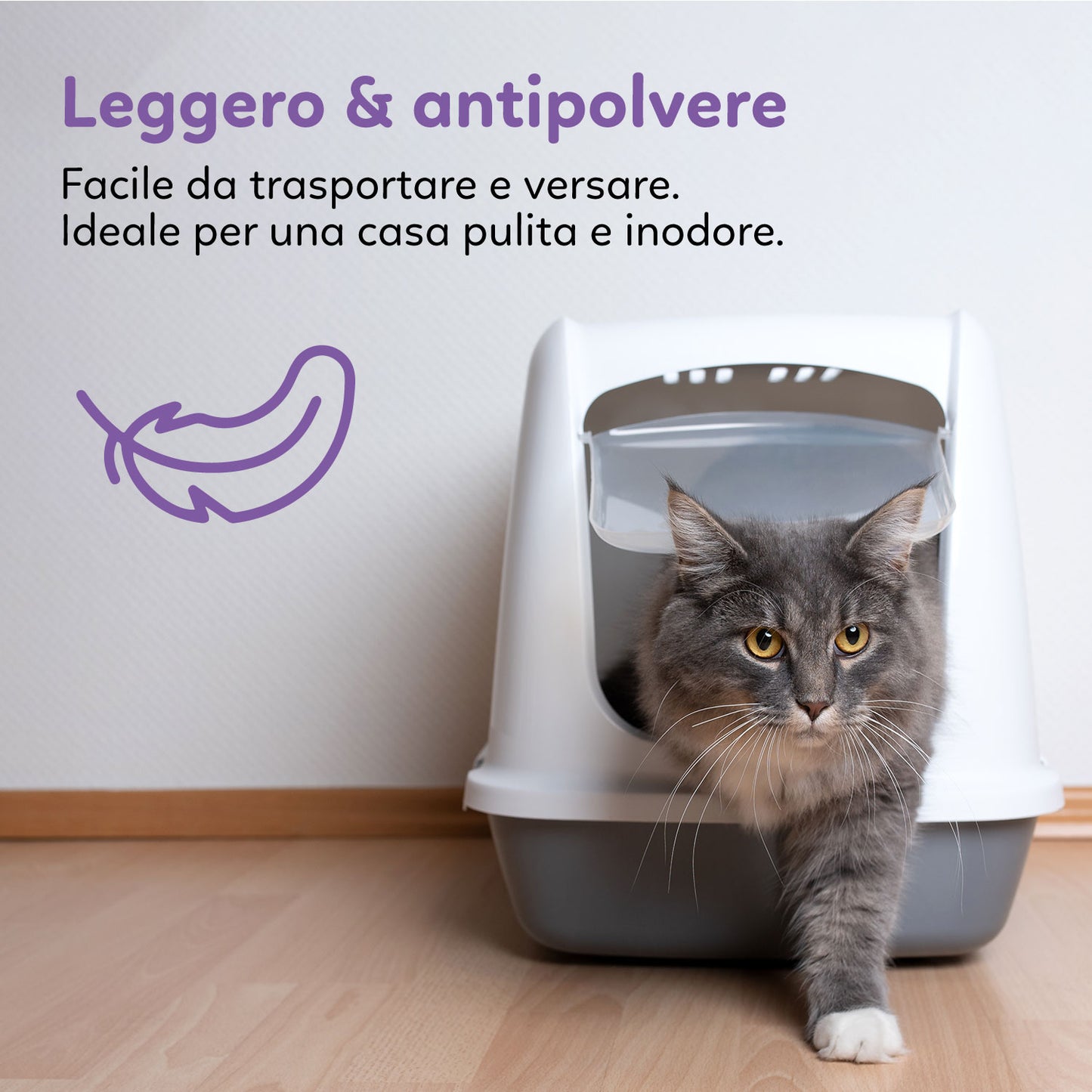 AqpetFriends Catty Pure Lettiera In Silicio per Gatti - profumazione lavanda - 5 L
