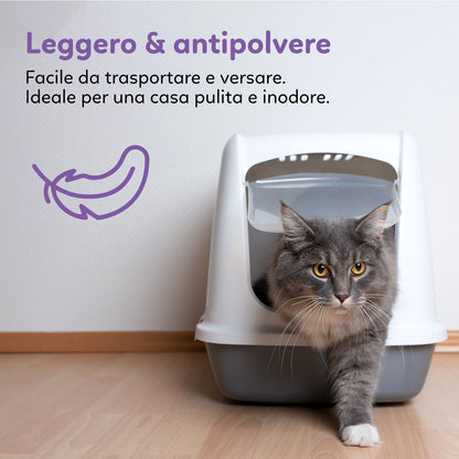 AqpetFriends Catty Pure Lettiera In Silicio per Gatti - profumazione lavanda - 5 L