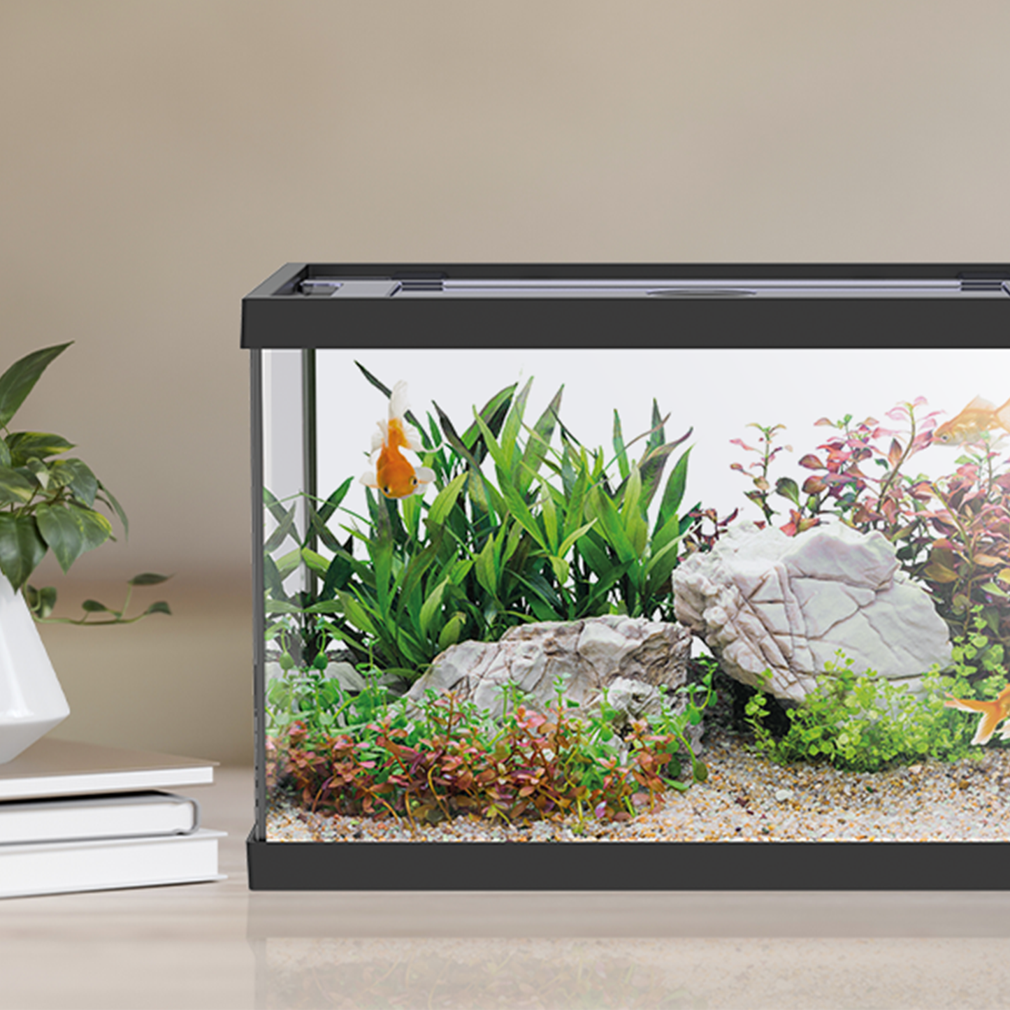 Aqpet One Mini Acquario Completo In Vetro Nero