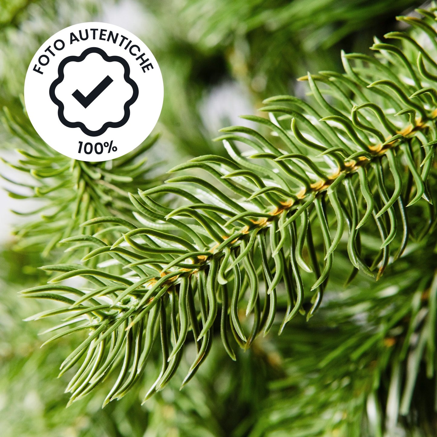 Albero di Natale Slim in PVC per spazi ridotti - rami fitti e base stabile