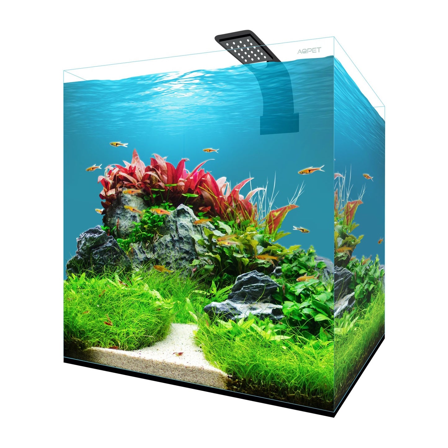 Aqpet Fresh Box 30 Acquario Dolce Completo
