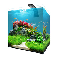 Aqpet Fresh Box 30 Acquario Dolce Completo