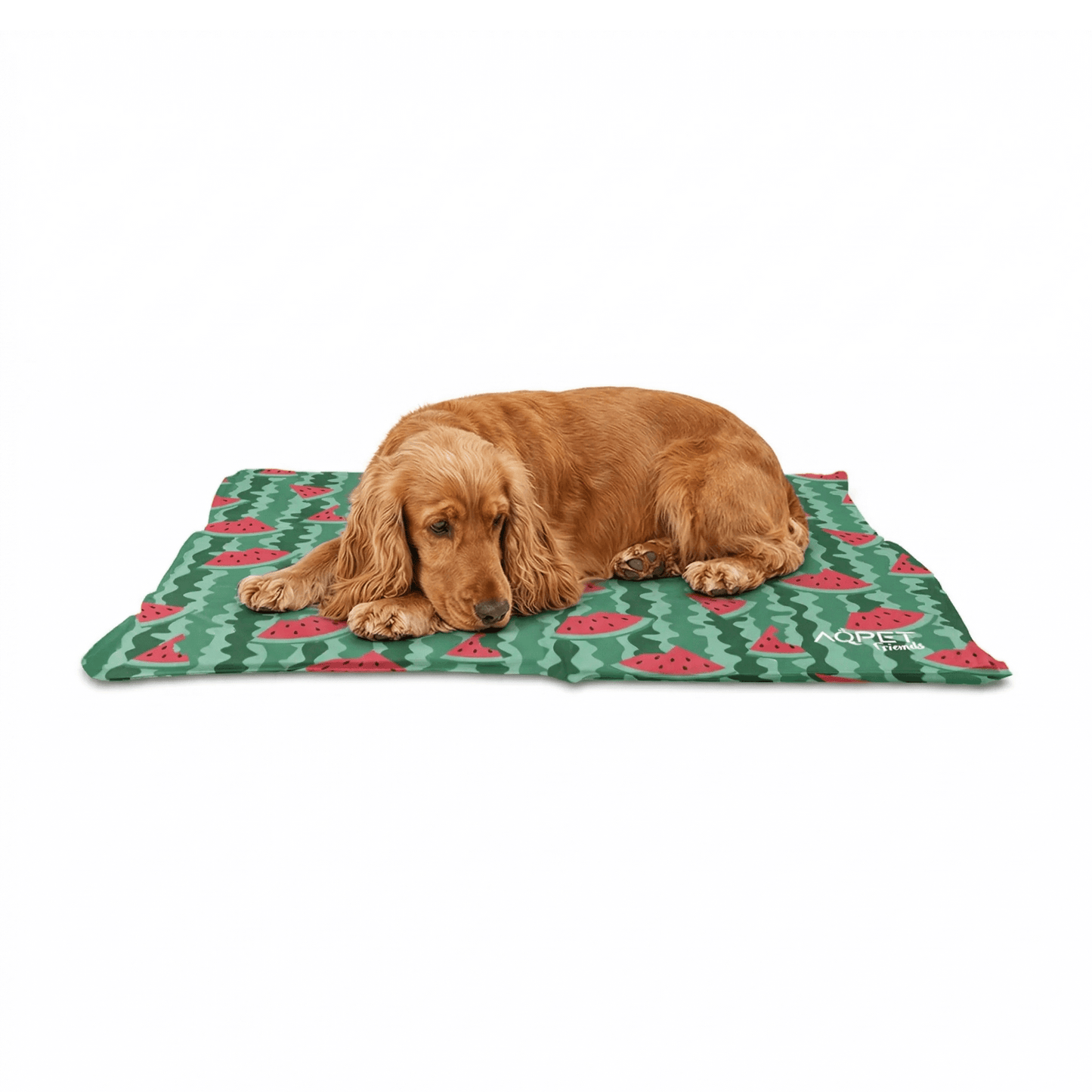 AqpetFriends Fresh Tappetino Refrigerante Fruit