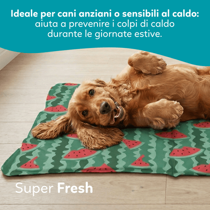 AqpetFriends Fresh Tappetino Refrigerante Fruit