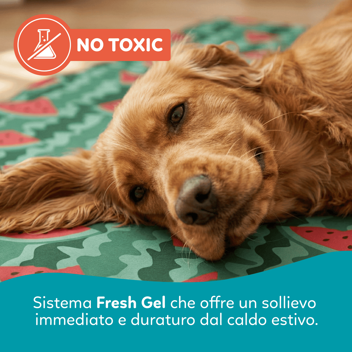AqpetFriends Fresh Tappetino Refrigerante Fruit
