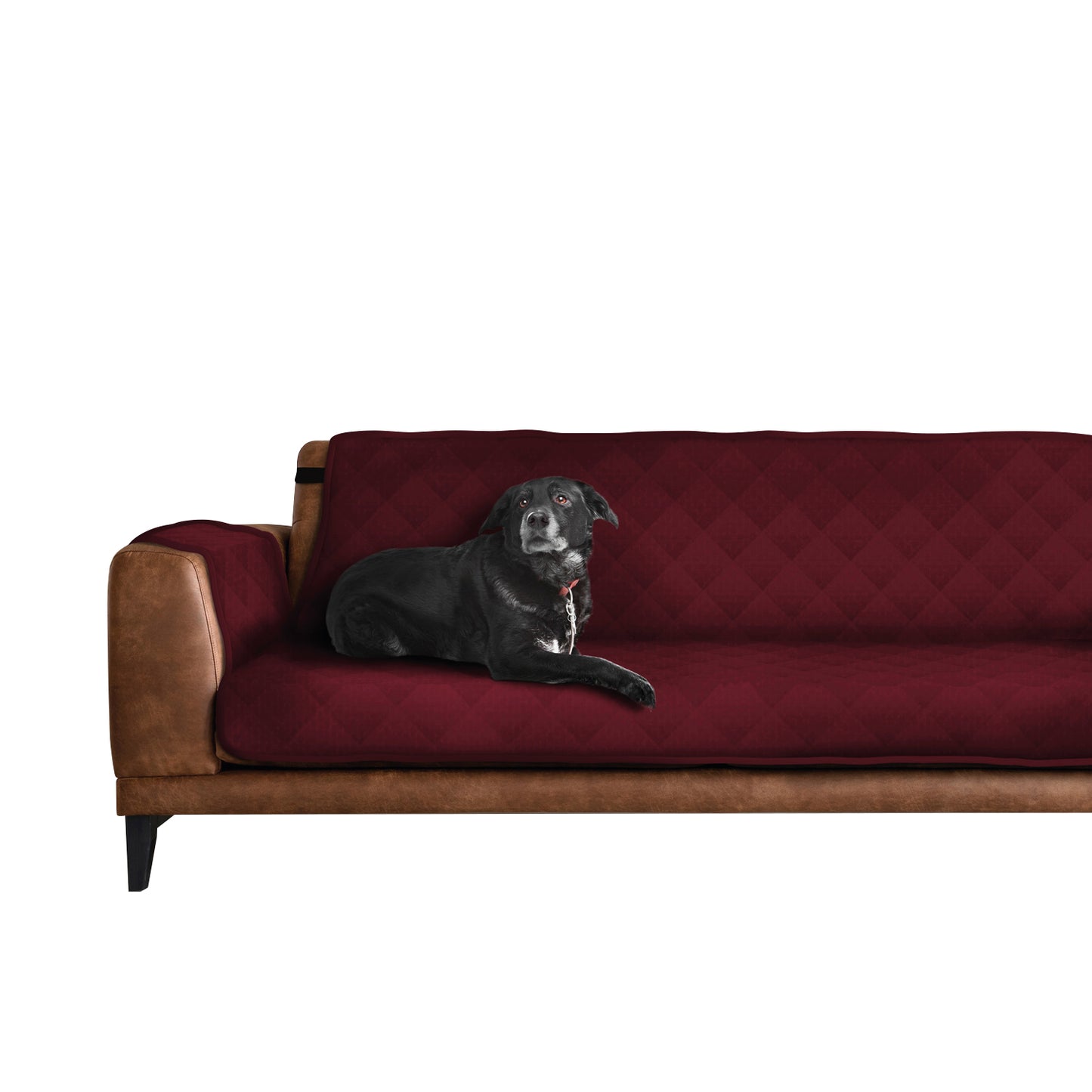 AQPetFriends Smarty Copridivano imbottito impermeabile trapuntato diversi modelli