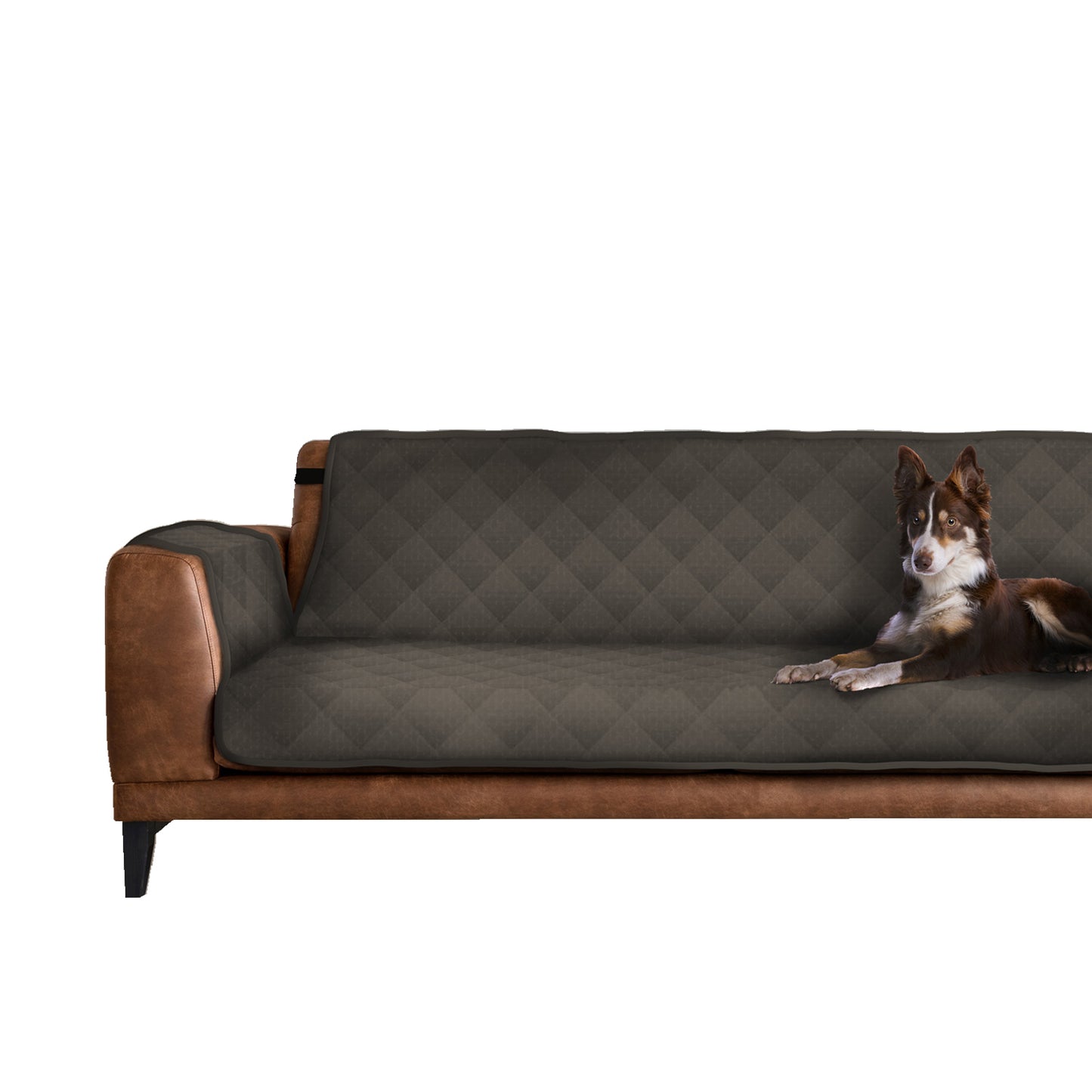 AQPetFriends Smarty Copridivano imbottito impermeabile trapuntato diversi modelli