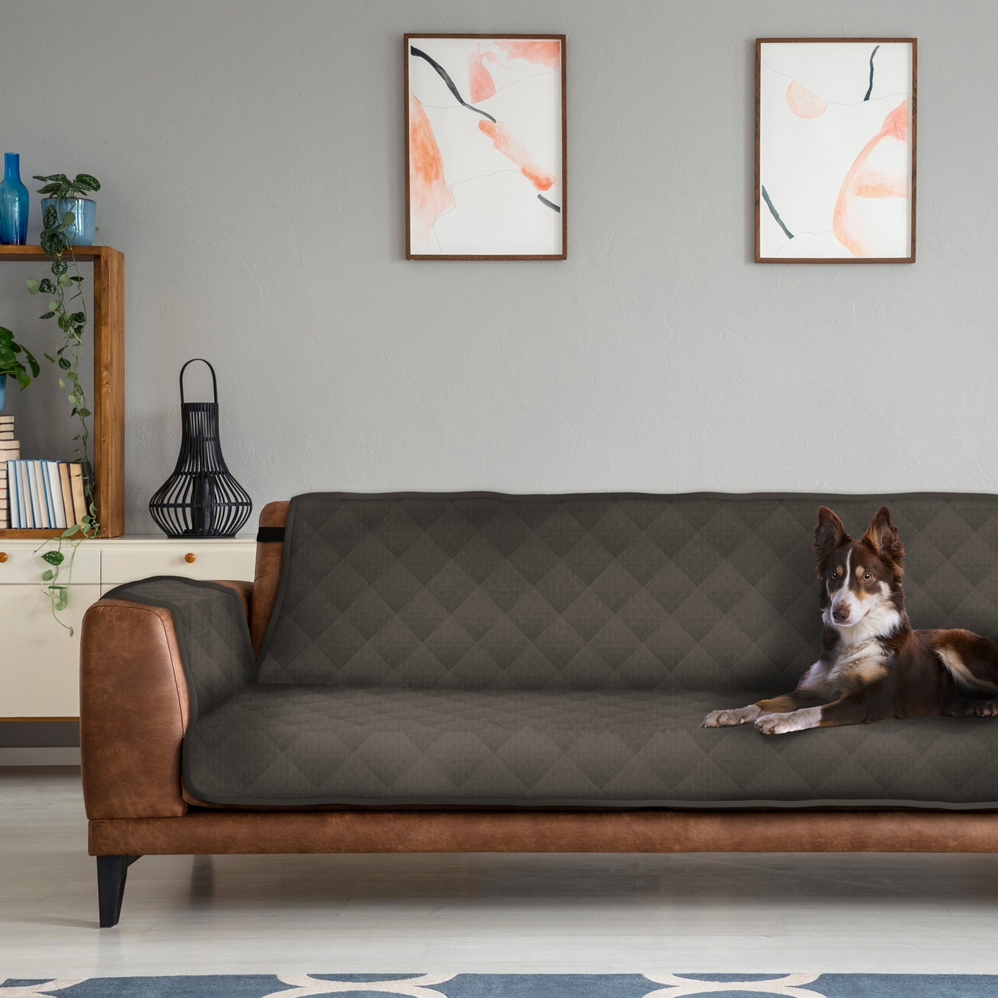 AQPetFriends Smarty Copridivano imbottito impermeabile trapuntato diversi modelli