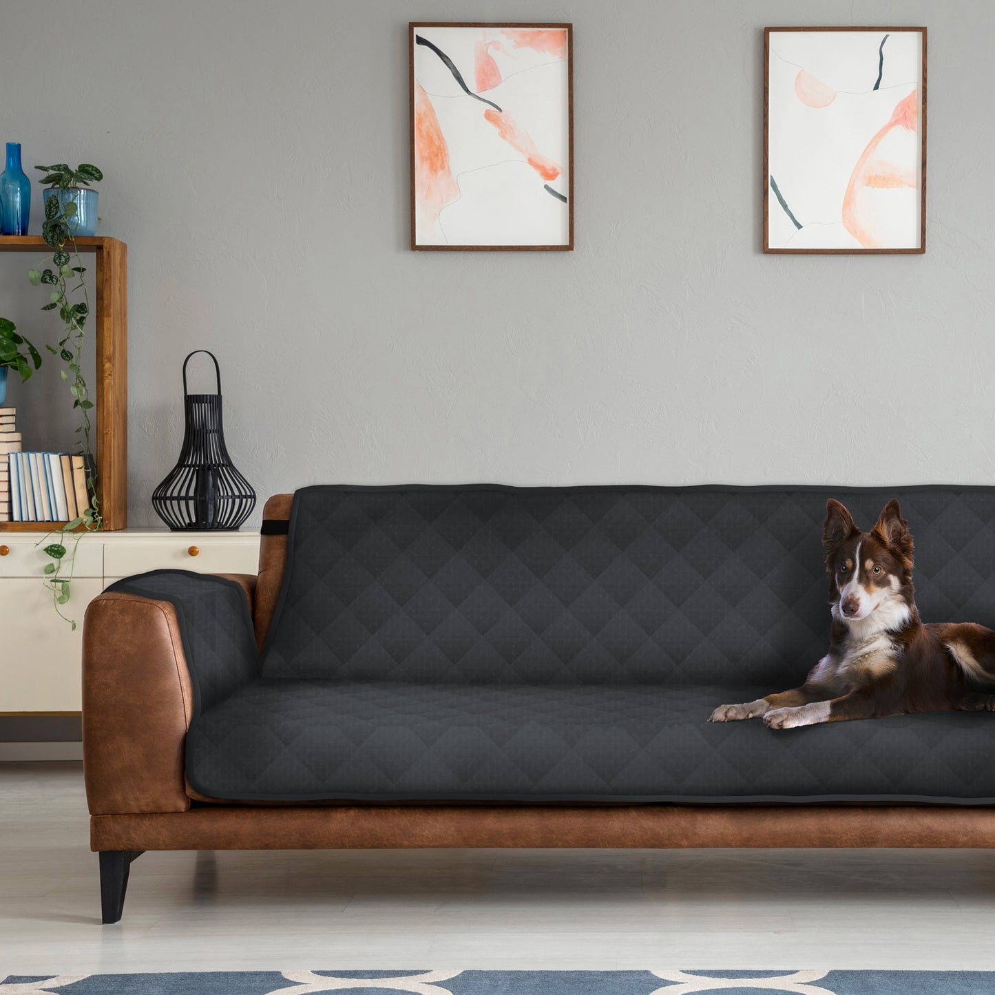 AQPetFriends Smarty Copridivano imbottito impermeabile trapuntato diversi modelli