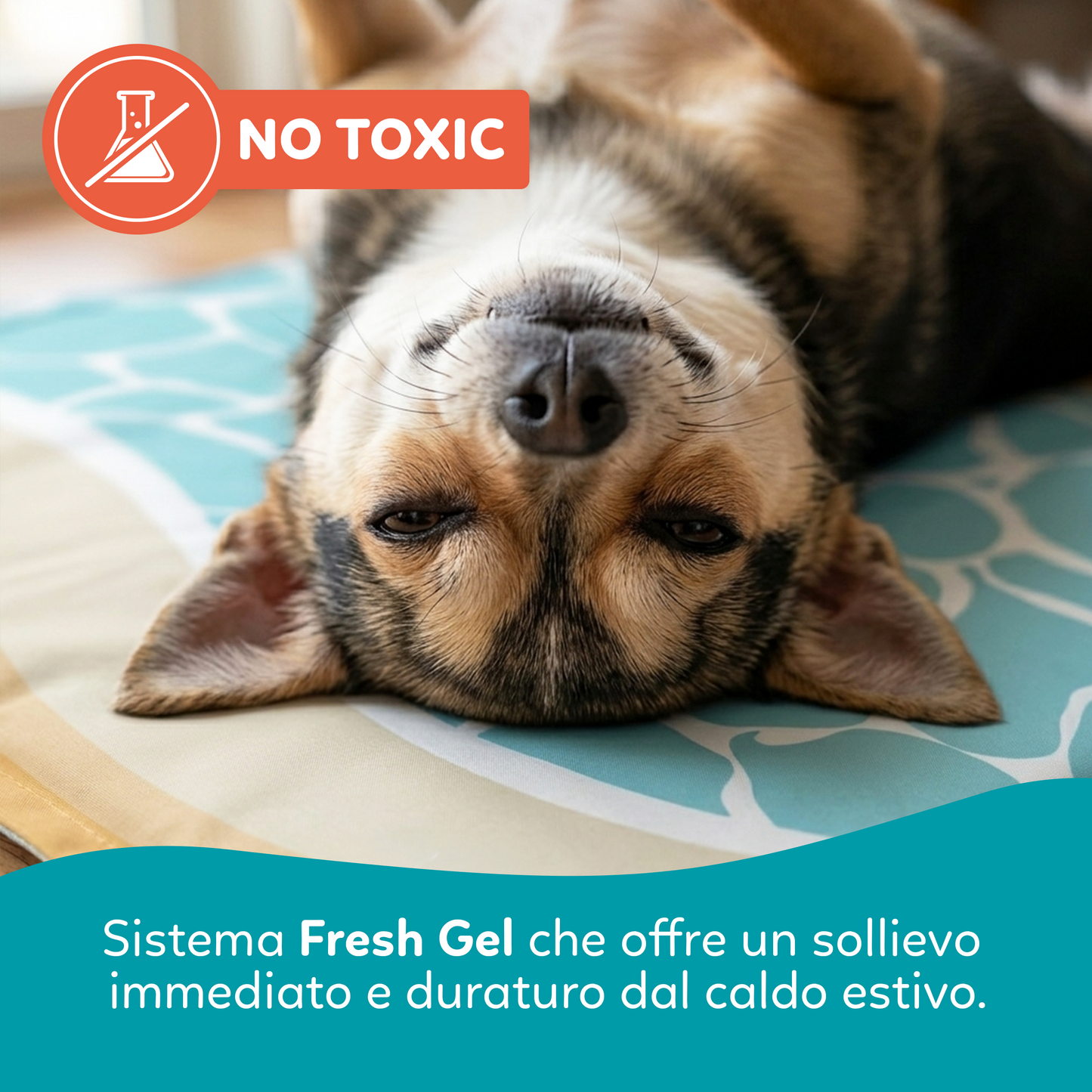 AqpetFriends Fresh Tappetino Refrigerante Sea