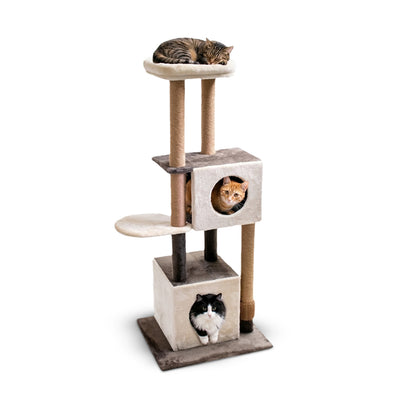AqpetFriends Sidney Tiragraffi a Piani 140 cm – Albero Tiragraffi per Gatti con Sisal, Cucce e Giochi