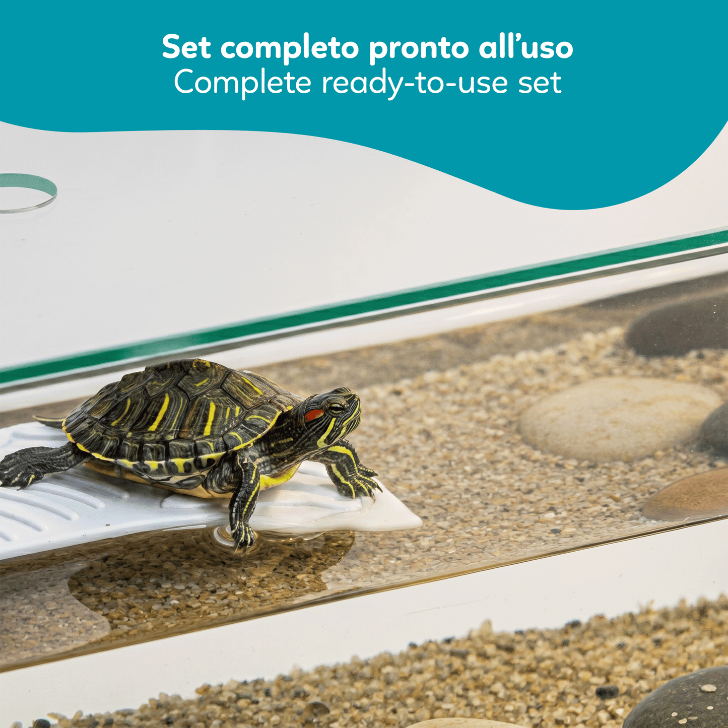 Aqpet Tortuga 50 Tartarughiera In Vetro Con Coperchio E Isola Per Tartarughe D'acqua 27L