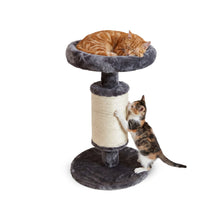 AqpetFriends Dublin Tiragraffi in Peluche 58 cm – Colonna con Sisal e Cuccia per Gatti