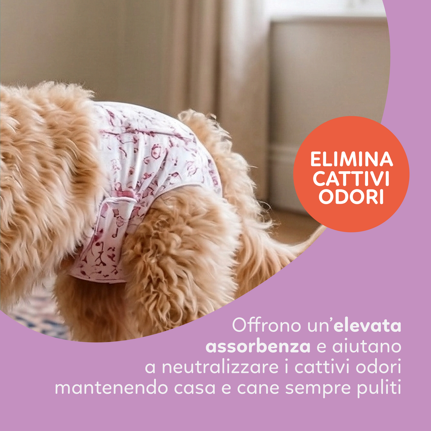 AqpetFriends Nappy Panties Pannolini Assorbenti a Mutandina per Cani 30 pz