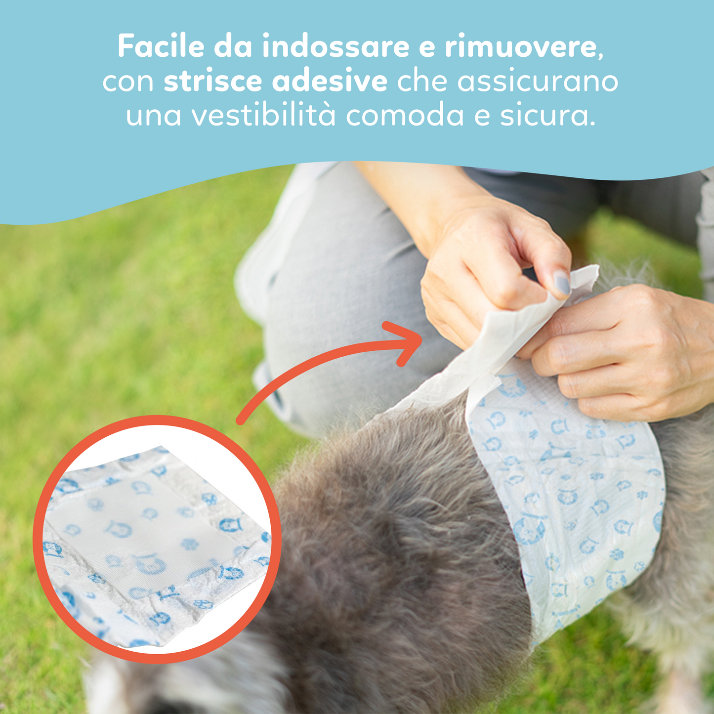 AqpetFriends Nappy Slips Pannolini Assorbenti a Fascia per Cani Maschi Conf. Da 12 Pz.