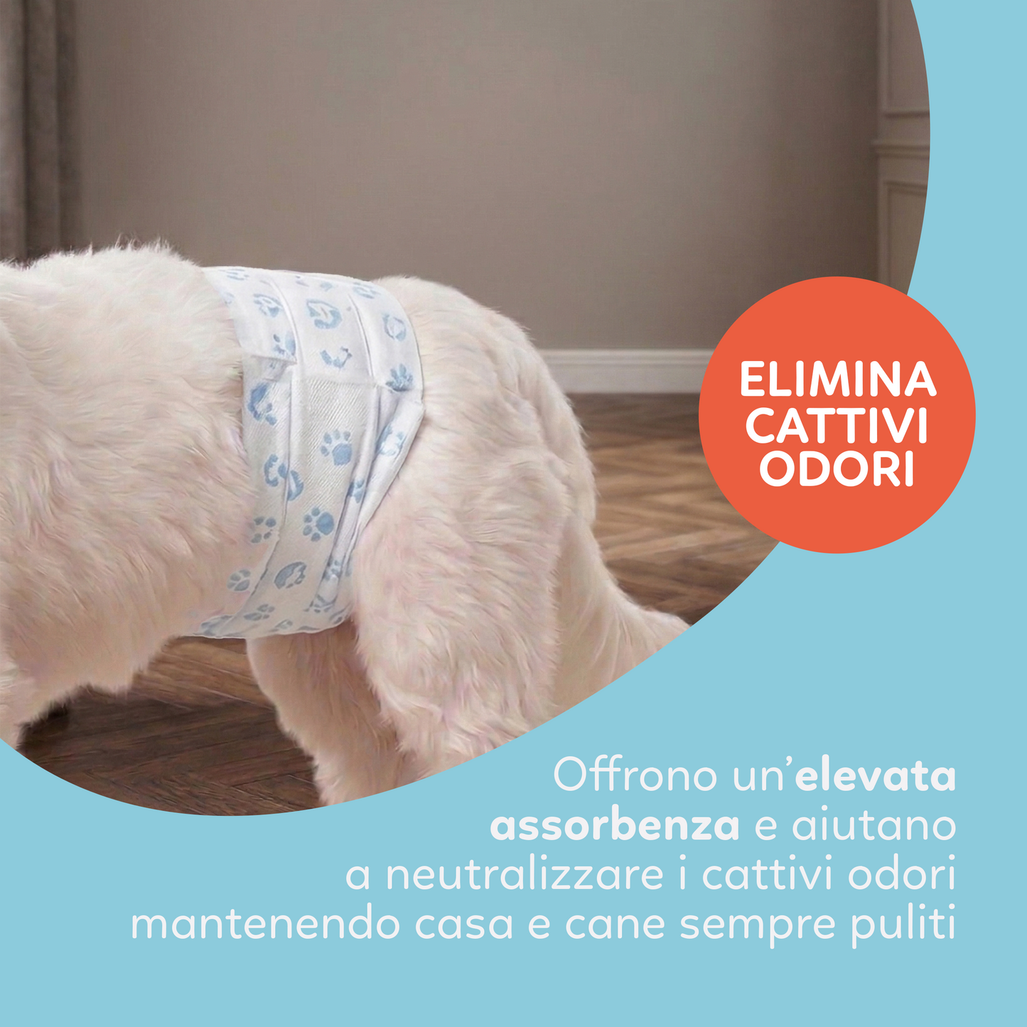 AqpetFriends Nappy Slips Pannolini Assorbenti a Fascia per Cani Maschi Conf. Da 12 Pz.