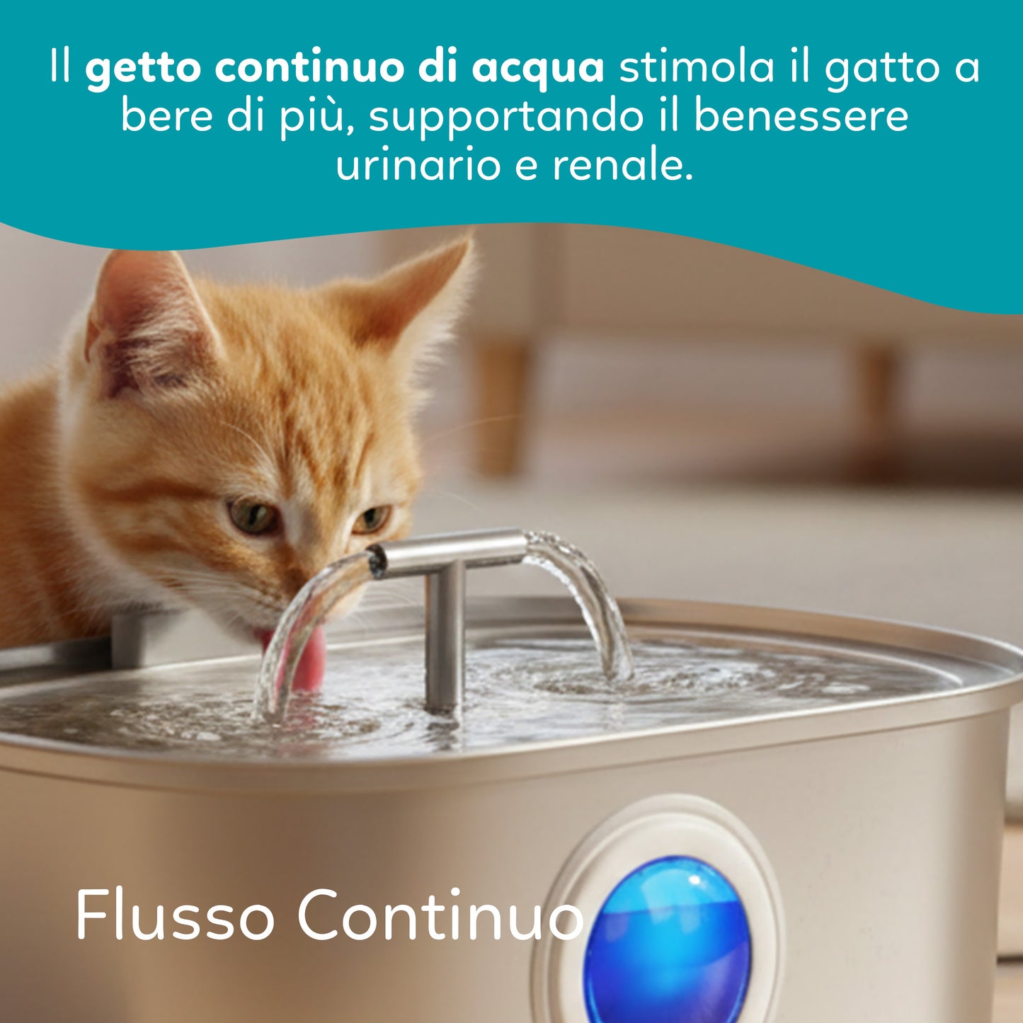 AQPetFriends Bubbler Fontana per gatti