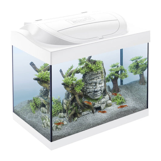 Tetra Acquario in Vetro Starter Line 30 Litri Completo di Luce e Filtro Colore Bianco