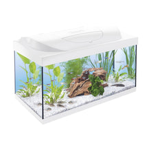 Tetra Acquario in Vetro Starter Line 54 Litri Completo di Luce e Filtro e Riscaldatore per Pesci Tropicali Colore Bianco