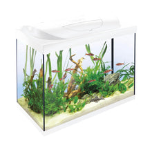 Tetra Acquario in Vetro Starter Line 80 Litri Completo di Luce e Filtro e Riscaldatore per Pesci Tropicali Colore Bianco
