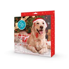 LeoPet Calendario Dell'Avvento Per Cani Con 24 Gustose Sorprese A Tema Natalizio Per Cani Di Tutte Le Taglie 230gr
