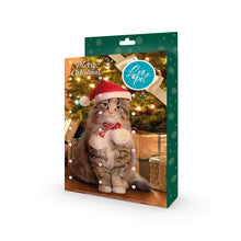 LeoPet Calendario Dell'Avvento Per Gatti Con 24 Gustose Sorprese Per Gatti Di Tutte Le Taglie 96gr