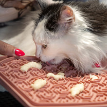 Flamingo Jelly Tappetino Da Leccare Per Cuccioli e Gattini In Silicone Antiscivolo con Colori Assortiti