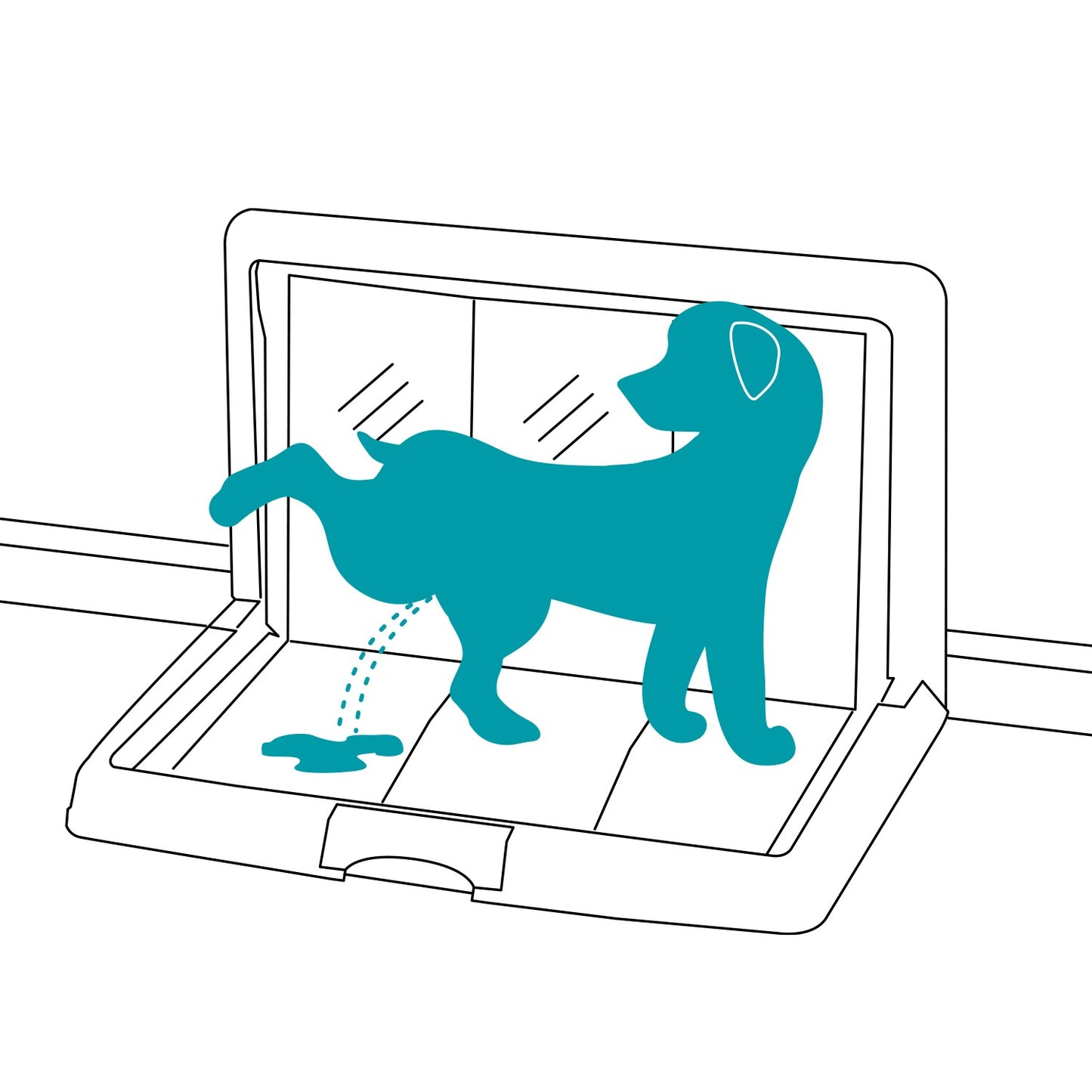 AqpetFriends BauBox Toilette Pieghevole Per Cani Pratica e Compatta