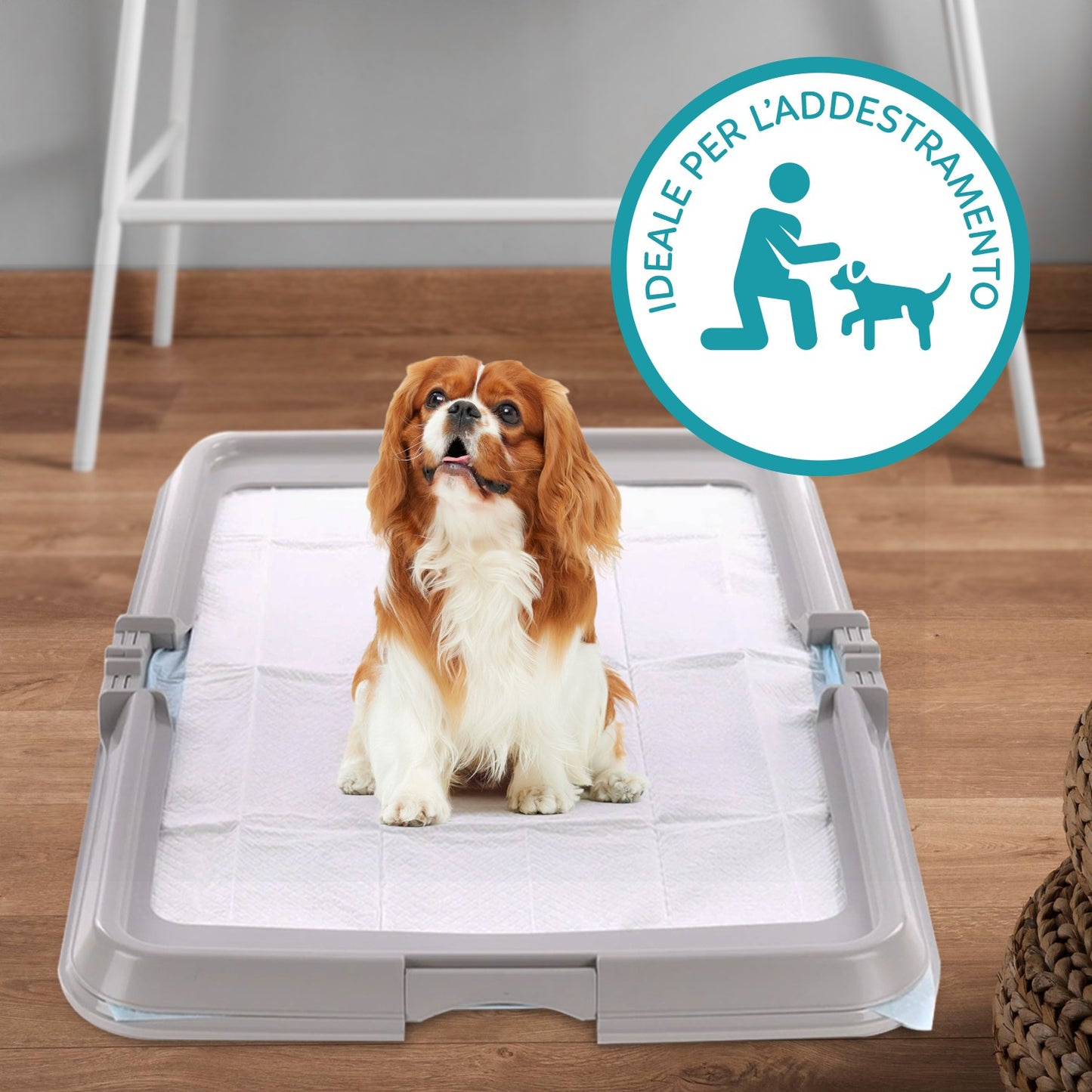 AqpetFriends BauBox Toilette Pieghevole Per Cani Pratica e Compatta
