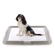 AqpetFriends BauBox Toilette Pieghevole Per Cani Pratica e Compatta