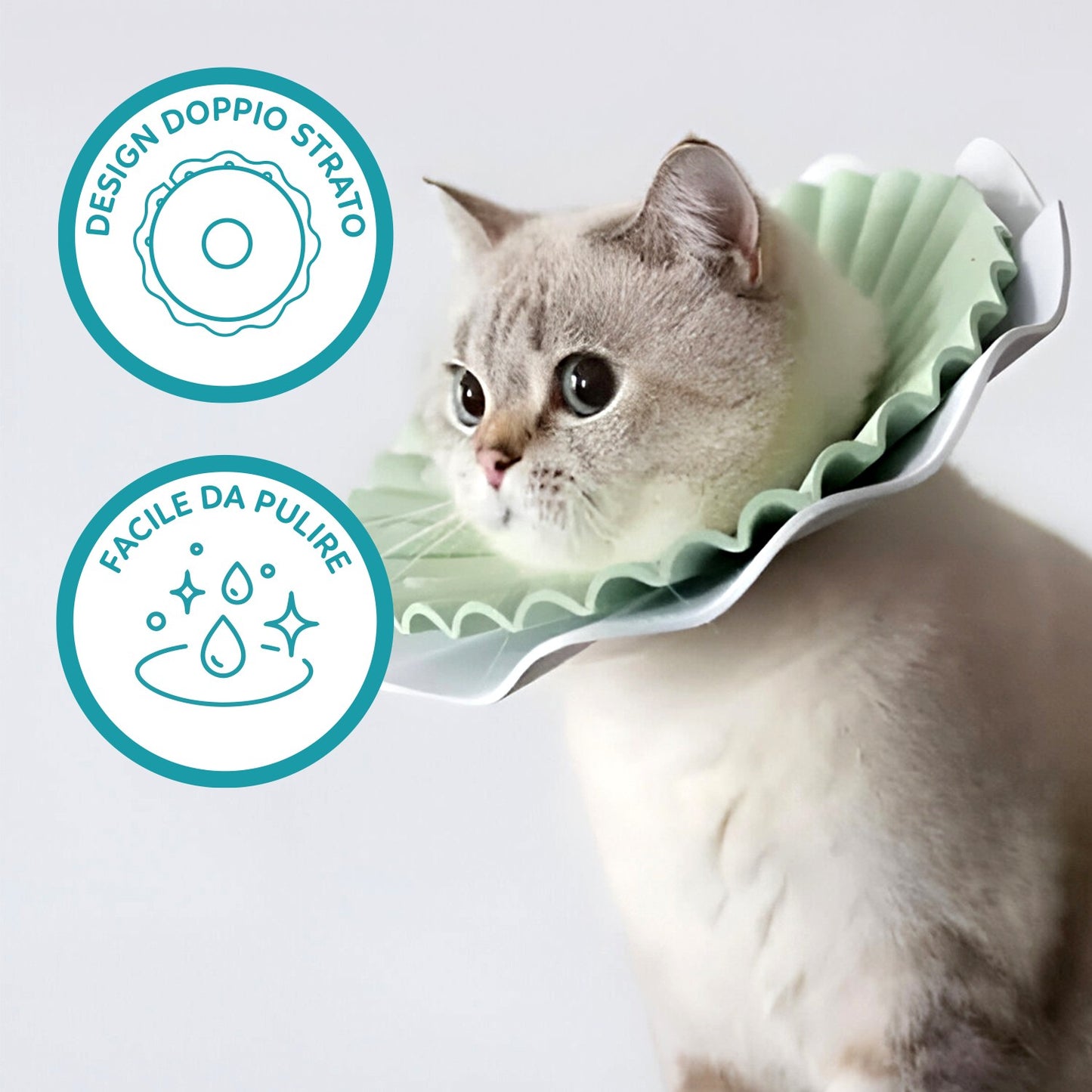 AqpetFriends Daisy Green Collare Elisabettiano In Plastica Morbida Per Gatti con Design a Doppio Strato