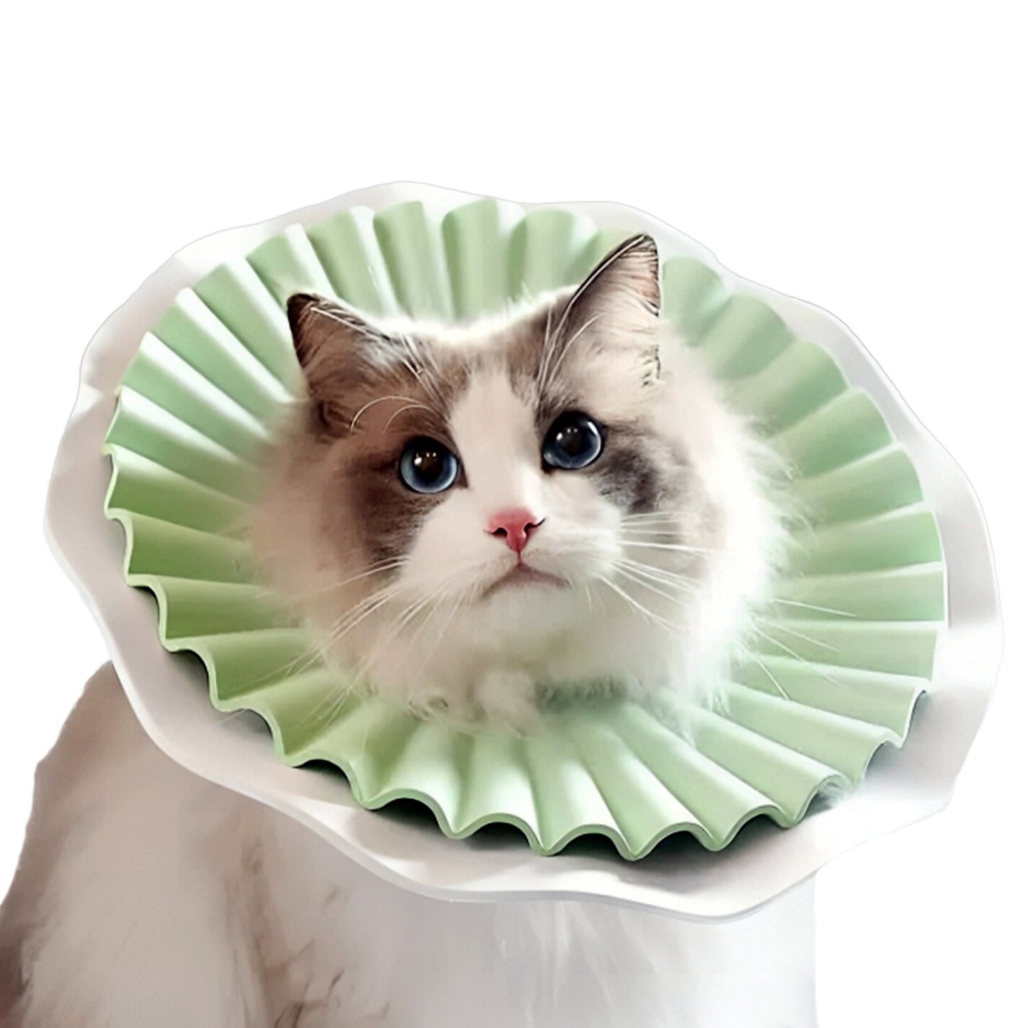 AqpetFriends Daisy Green Collare Elisabettiano In Plastica Morbida Per Gatti con Design a Doppio Strato
