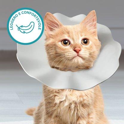 AqpetFriends Daisy Orange Collare Elisabettiano In Plastica Morbida Per Gatti con Design a Doppio Strato