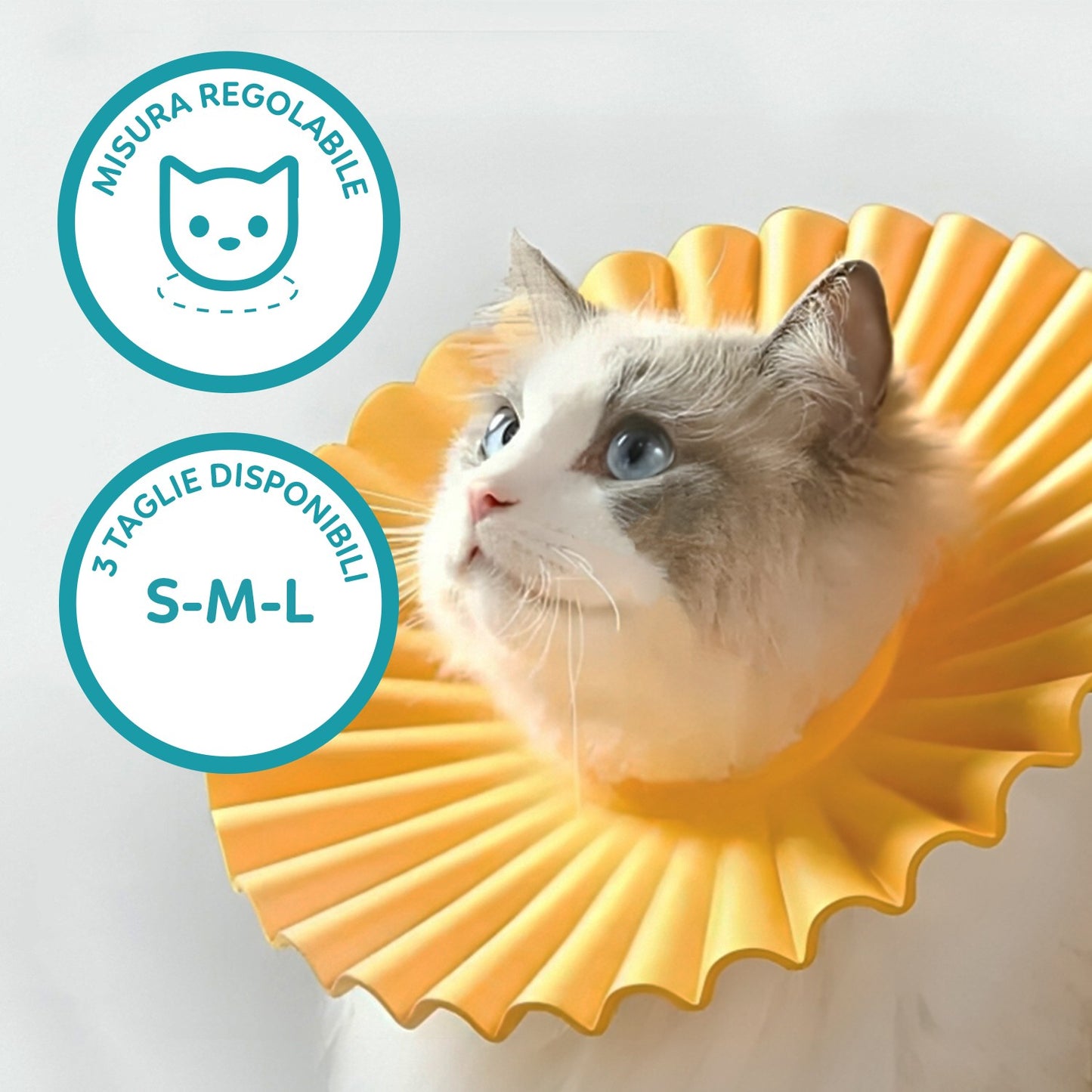 AqpetFriends Daisy Orange Collare Elisabettiano In Plastica Morbida Per Gatti con Design a Doppio Strato