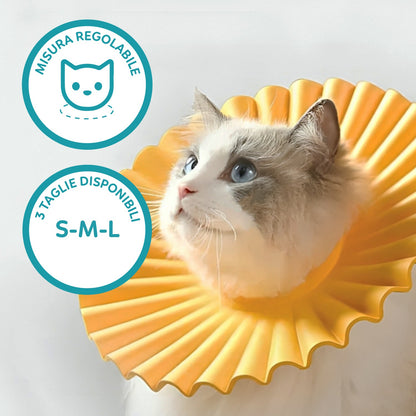 AqpetFriends Daisy Orange Collare Elisabettiano In Plastica Morbida Per Gatti con Design a Doppio Strato