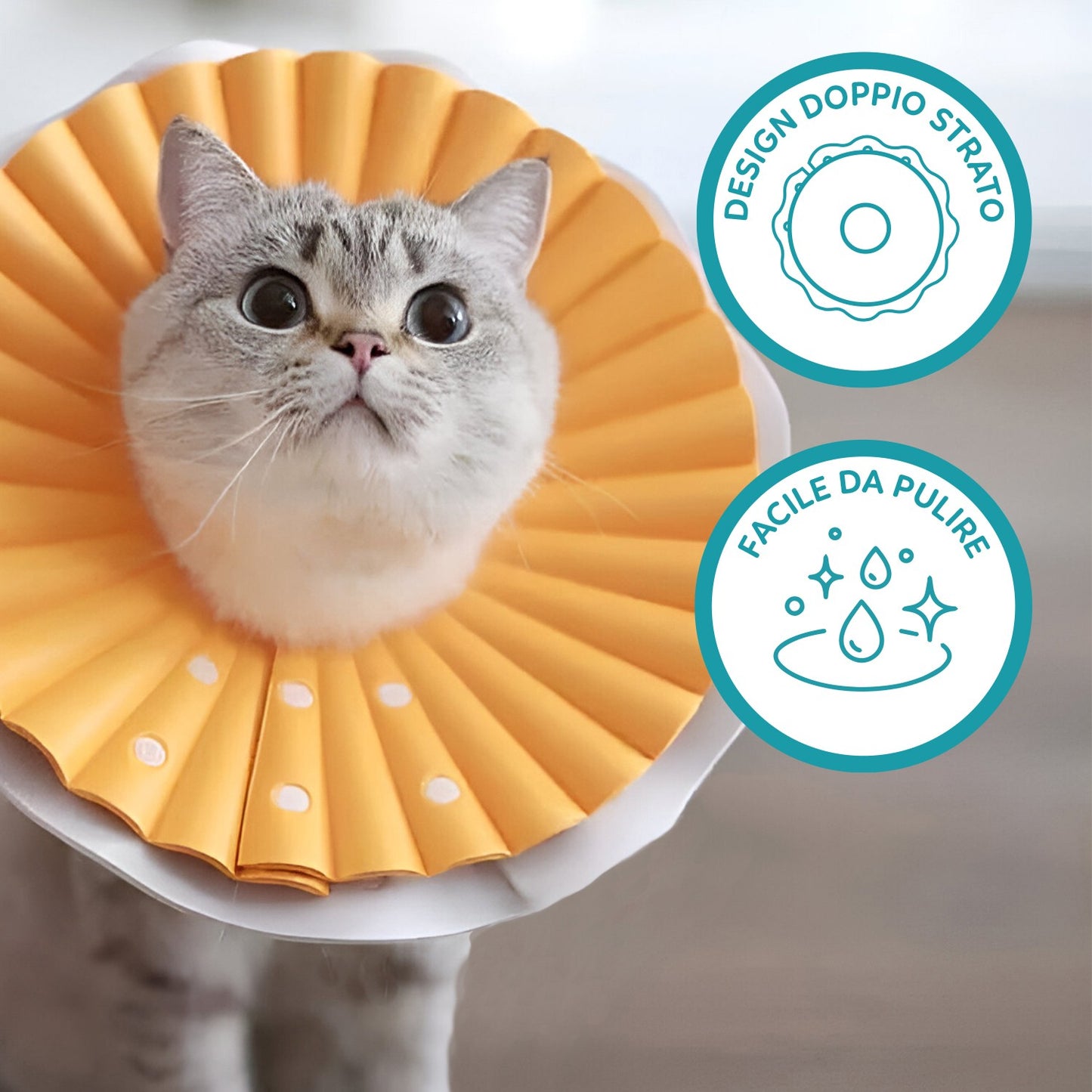 AqpetFriends Daisy Orange Collare Elisabettiano In Plastica Morbida Per Gatti con Design a Doppio Strato