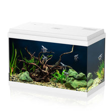 Aqpet Simply LED 60 Acquario Completo Con Illuminazione Led, Filtro e Riscaldatore Colore Bianco 60L