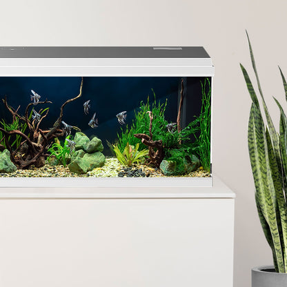 Aqpet Simply LED 60 Acquario Completo Con Illuminazione Led, Filtro e Riscaldatore Colore Bianco 60L