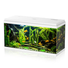 Aqpet Simply LED 100 Acquario Completo Di Doppia Luce LED, Filtro E Riscaldatore Colore Bianco 100L