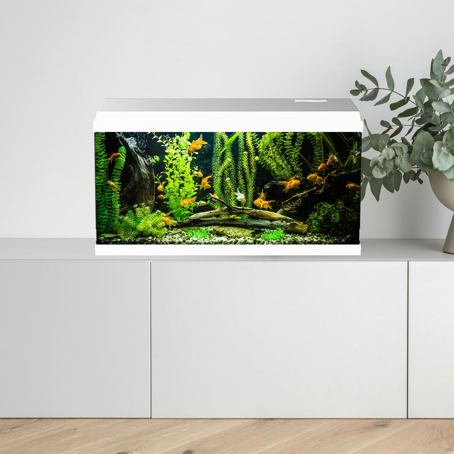 Aqpet Simply LED 100 Acquario Completo Di Doppia Luce LED, Filtro E Riscaldatore Colore Bianco 100L