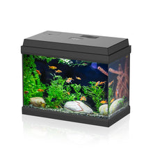Aqpet Simply LED 30 Set Acquario Acqua Dolce Completo Di Luce LED E Filtro 30L