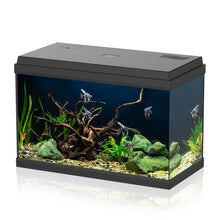 Aqpet Simply LED 60 Set Acquario Acqua Dolce Completo Di Luce LED, Filtro E Riscaldatore 60L