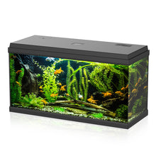 Aqpet Simply LED 100 Set Acquario Acqua Dolce Completo Di Doppia Luce LED, Filtro E Riscaldatore 100L