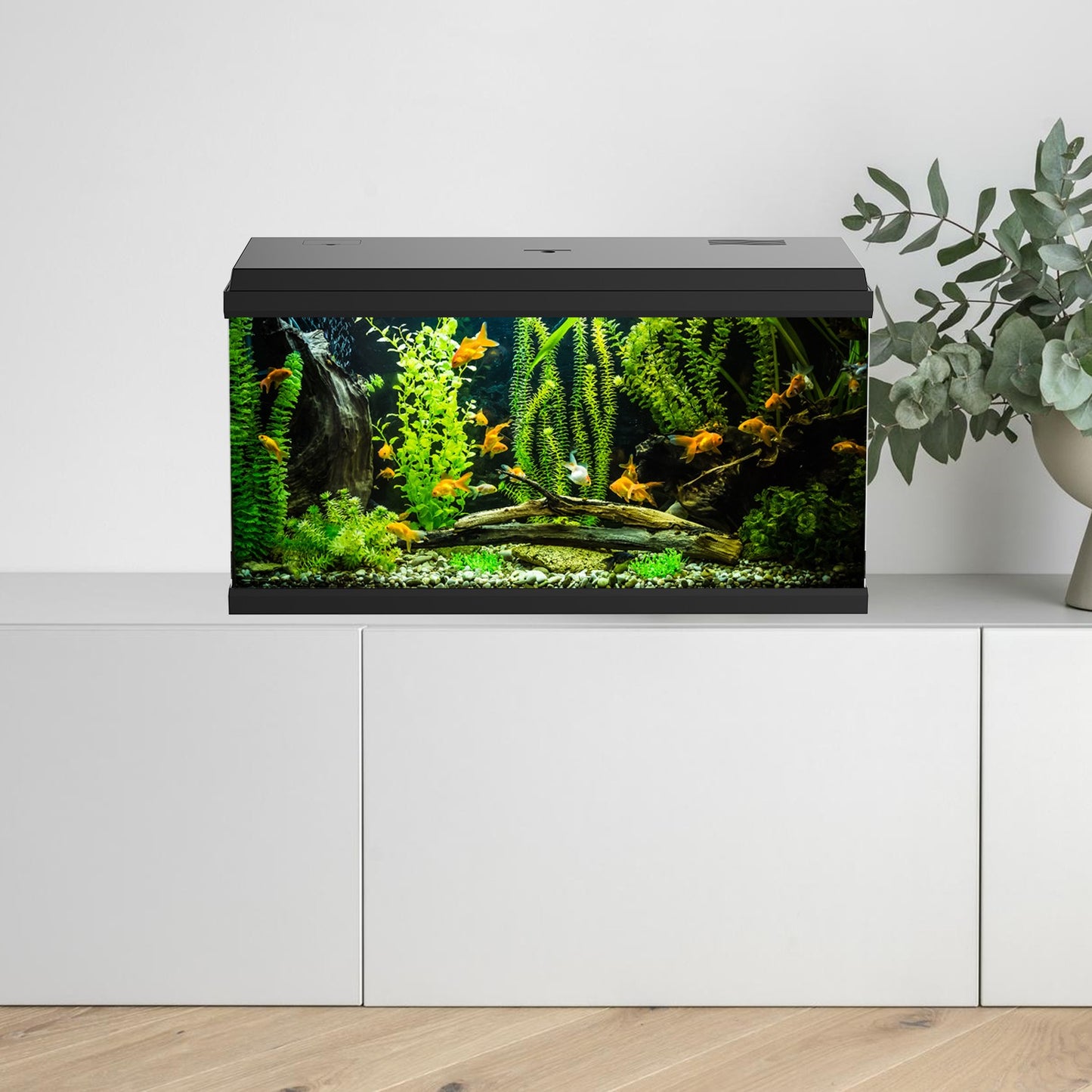 Aqpet Simply LED 100 Set Acquario Acqua Dolce Completo Di Doppia Luce LED, Filtro E Riscaldatore 100L