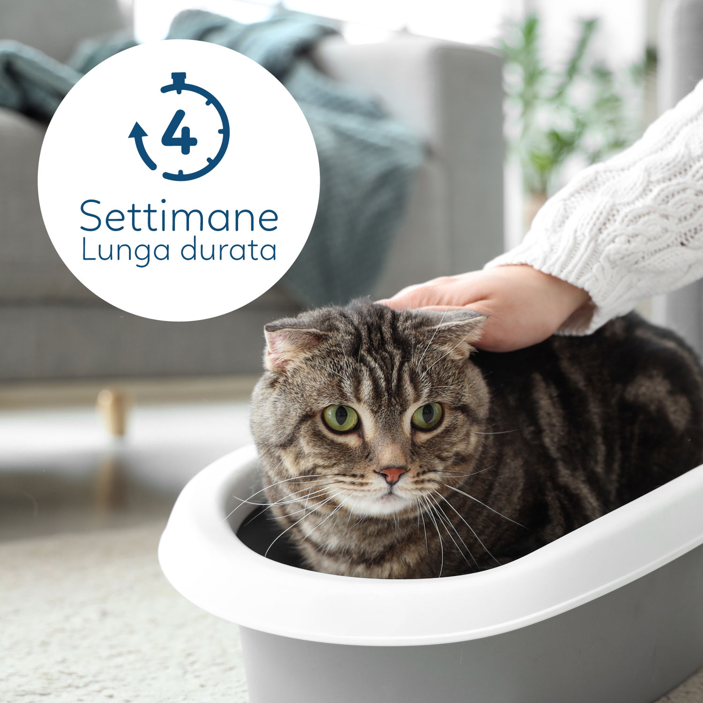 AqpetFriends Catty Pure Lettiera In Silicio per Gatti - Check PH - 5 L