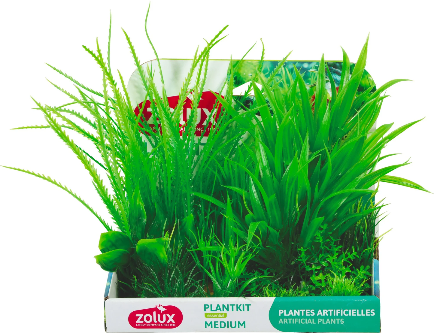 Zolux Pianta plantkit medium n.1