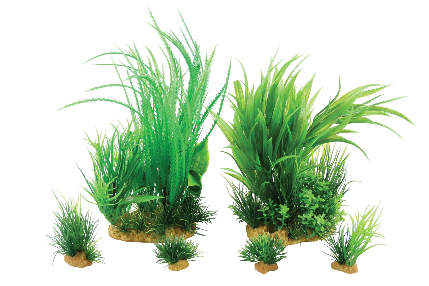 Zolux Pianta plantkit medium n.1